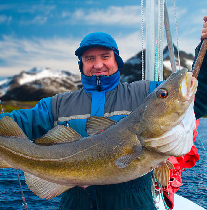 Fish and seafood supply chain