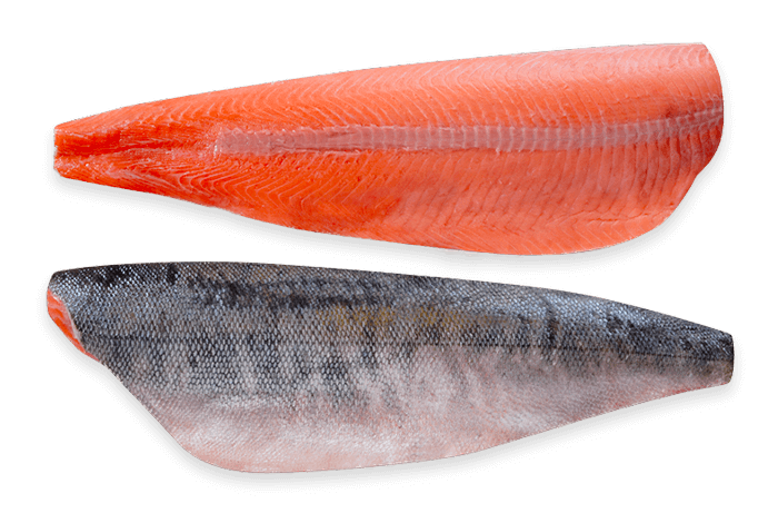 P01 S02 img 01 frozen fish