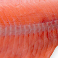 P01 S02 tab img frozen fish